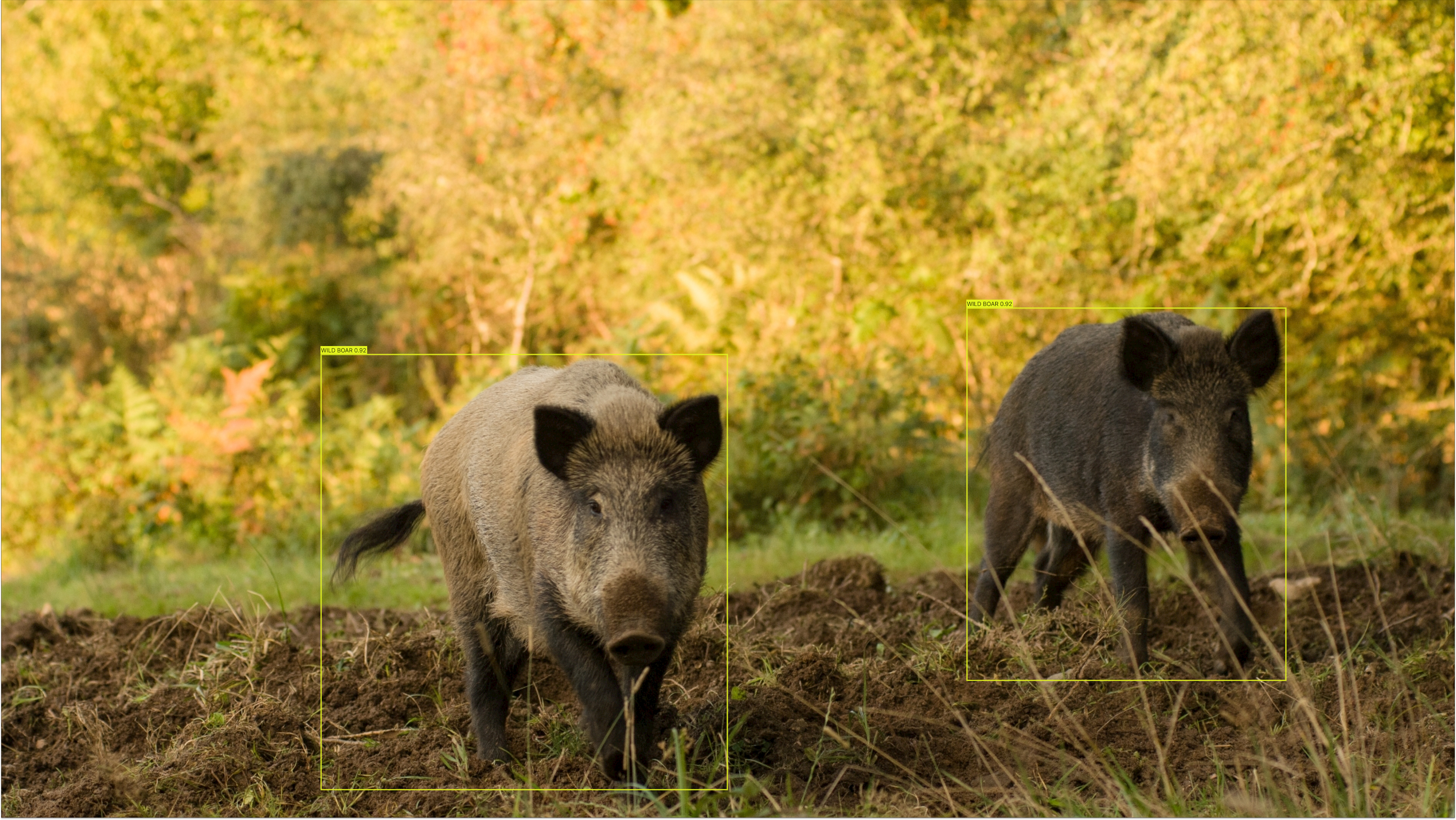 Preventing crop damage by wildlife