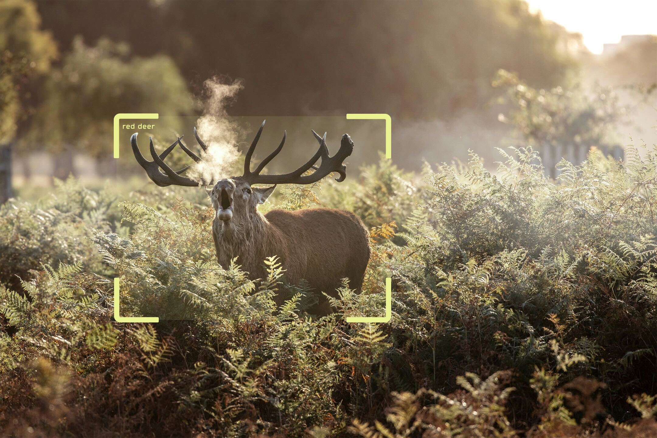 We keep wildlife out of critical areas through intelligence and care