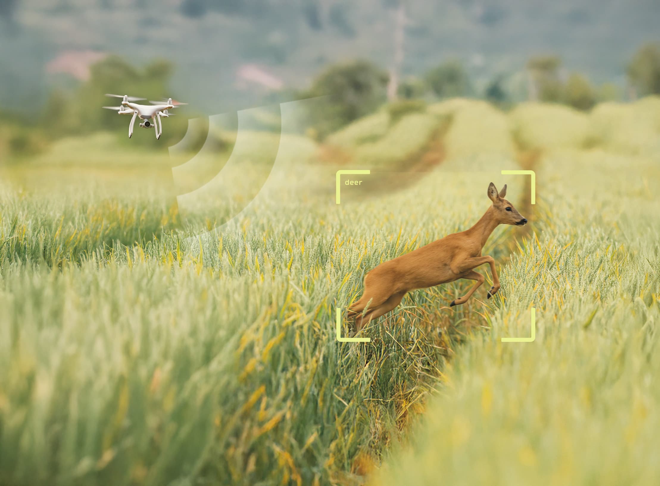 Multi-species system