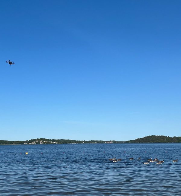 Picture showing lake and drone in the sky. Geese Management Issues During Summer