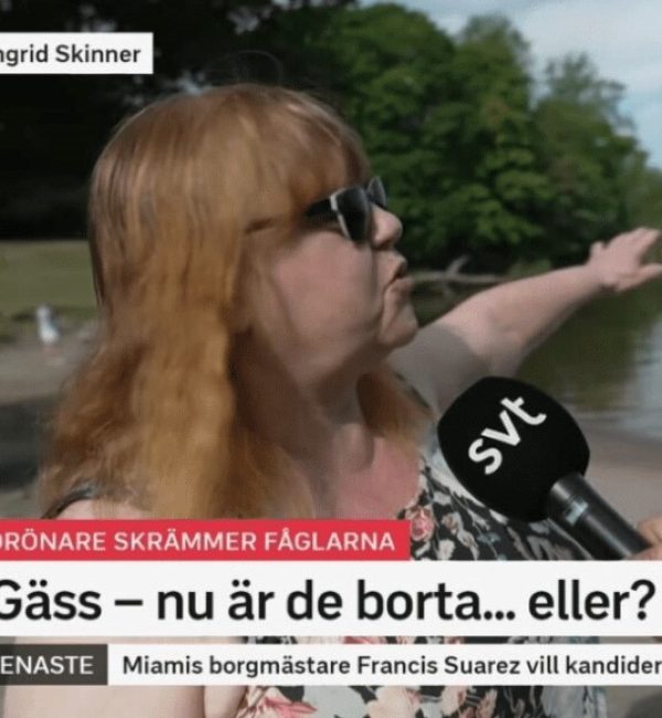 Ingrid Skinner, Stockholm resident who was interviewed by the national TV Morgonstudion SVT